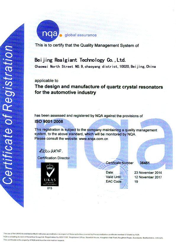 Realgiant Certificate: ISO 9001