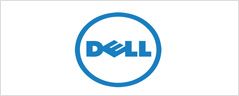 Realgiant Cooperating Clients: DELL