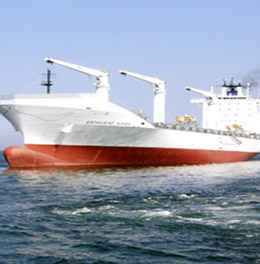 Realgiant Application sectors: Ship control system