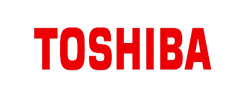 Realgiant Cooperating Clients: TOSHIBA
